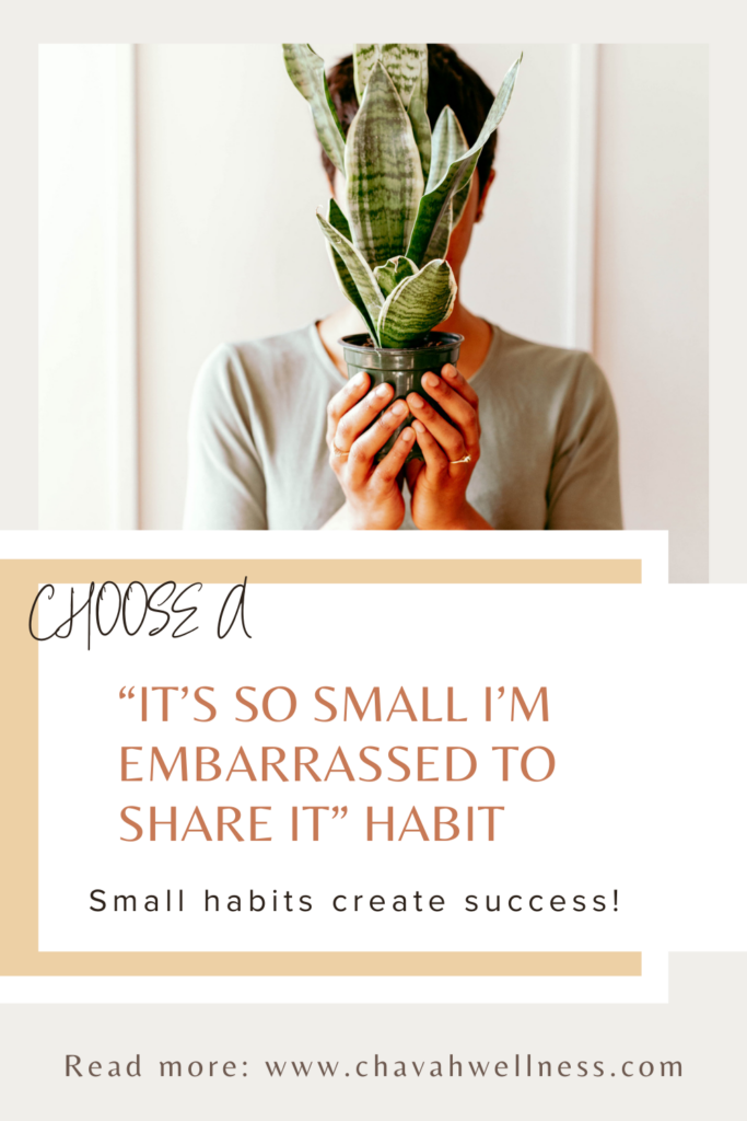 Secrets to Success: Choose a "it's so small I'm embarrased to share it" habit. Small habits create success! Chavah Wellness. Pillars of Wellness