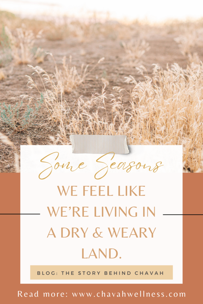 Some seasons we feel like we're living in a dry and weary land. Chavah Wellness. 